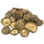 Shiitake mushrooms